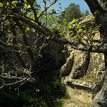 La Casa Di Poggio Strozzoni * Pitigliano